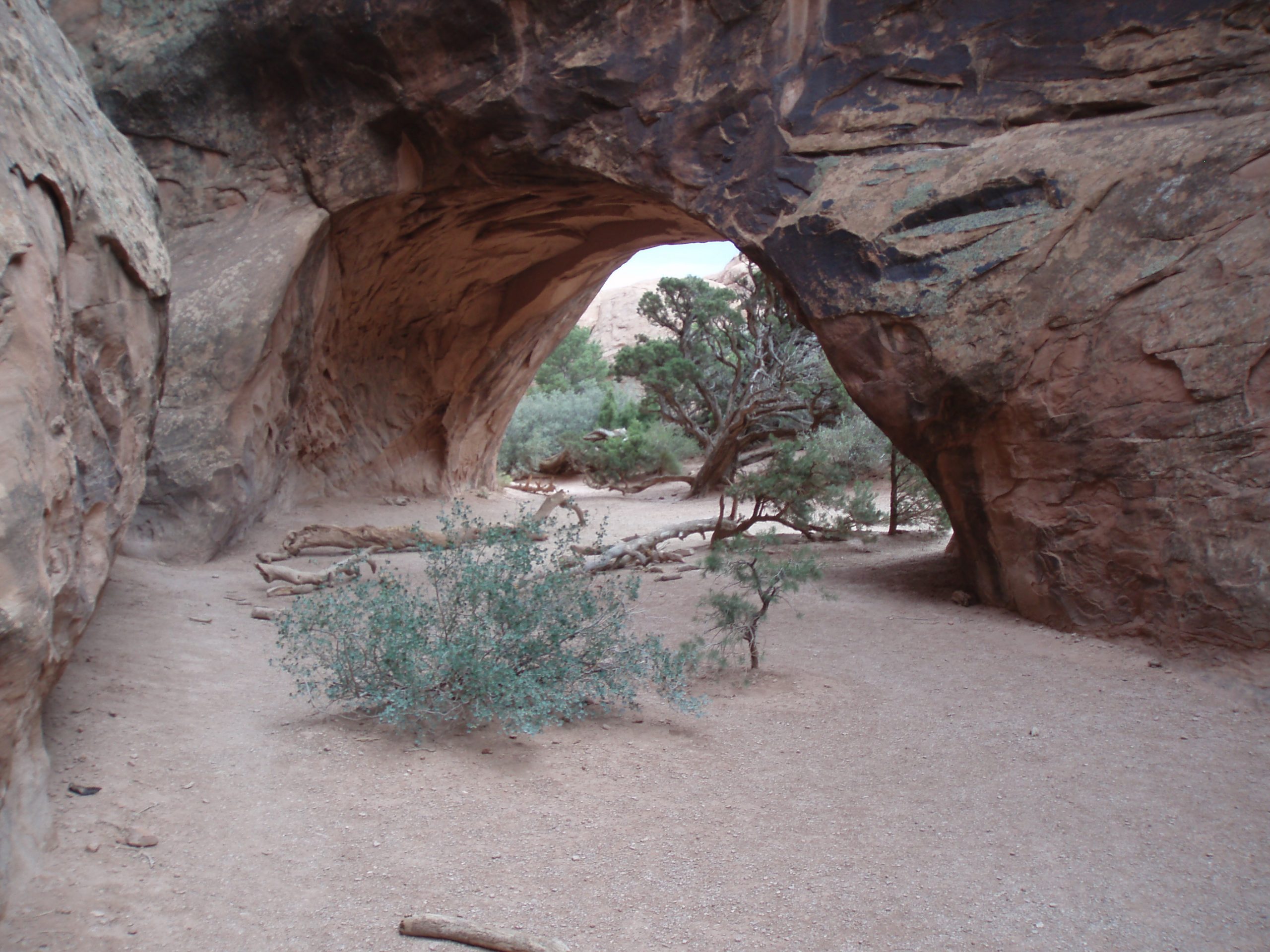 Backlog of Nominees Stalls the Unleashing American Energy Agenda