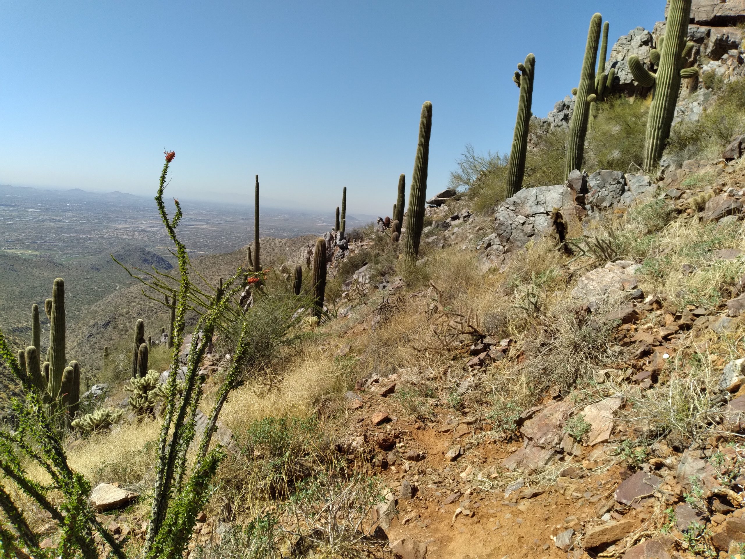 Congress Overturns Land-Use Plans: Reducing the Impact